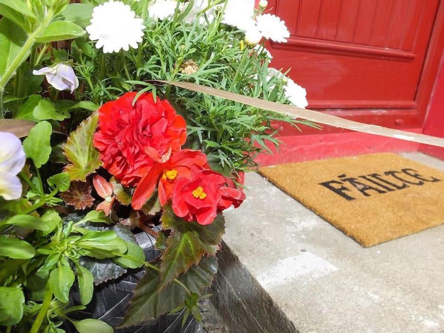 The Cosy Farm Cottage, Donegal Inver المظهر الخارجي الصورة