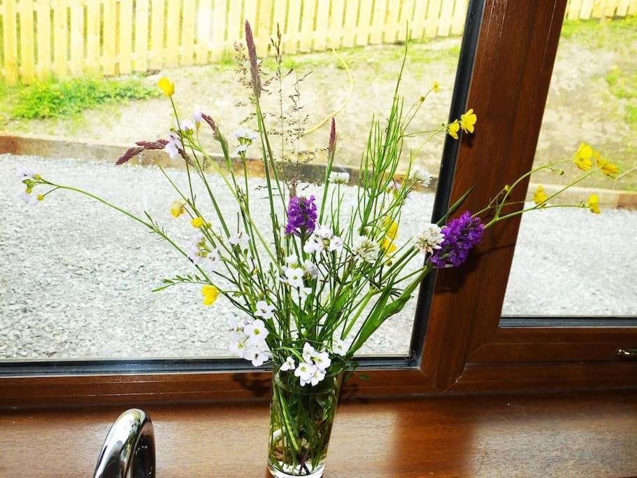 The Cosy Farm Cottage, Donegal Inver المظهر الخارجي الصورة
