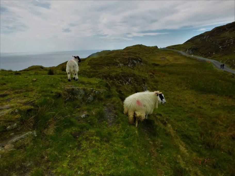 The Cosy Farm Cottage, Donegal Inver المظهر الخارجي الصورة