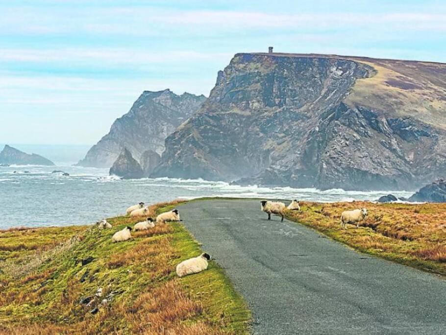 The Cosy Farm Cottage, Donegal Inver المظهر الخارجي الصورة